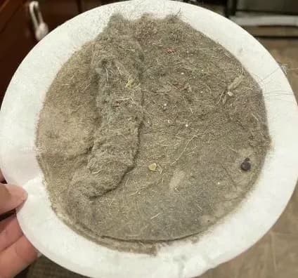 Dirt pad reading — High